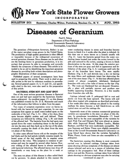 Diseases of Geranium