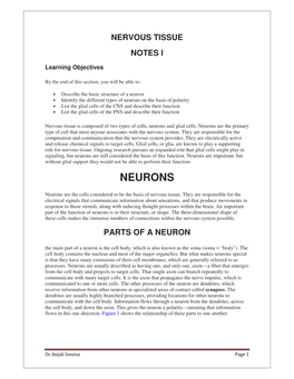 Neurons on the Basis of Polarity • List the Glial Cells of the CNS and Describe Their Function • List the Glial Cells of the PNS and Describe Their Function