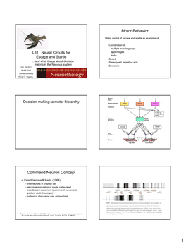 L31. Neural Circuits for Escape and Startle