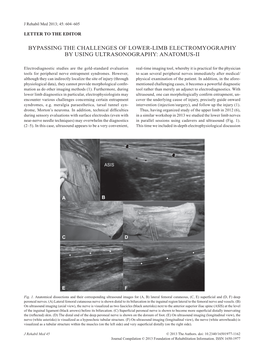 Bypassing the Challenges of Lower-Limb ELECTROMYOGRAPHY by Using Ultrasonography: Anatomus-II