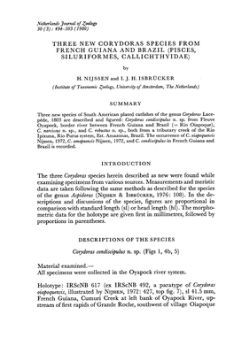 Three New Corydoras Species from French Guiana and Brazil (Pisces, Siluriformes, Callichthyidae)