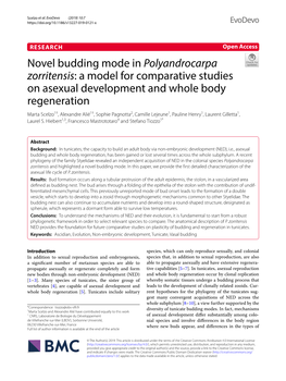 Novel Budding Mode in Polyandrocarpa Zorritensis