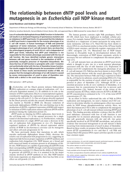 The Relationship Between Dntp Pool Levels and Mutagenesis in an Escherichia Coli NDP Kinase Mutant