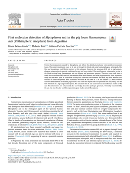 First Molecular Detection of Mycoplasma Suis