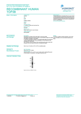 Recombinant Human Top3b