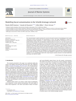 Modelling Faecal Contamination in the Scheldt Drainage Network