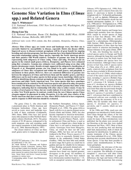 Genome Size Variation in Elms (Ulmus Spp.)