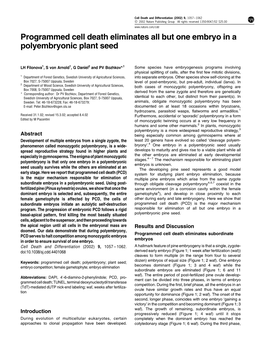 Programmed Cell Death Eliminates All but One Embryo in a Polyembryonic Plant Seed