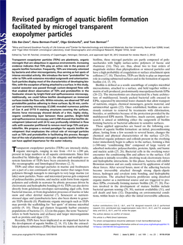 Revised Paradigm of Aquatic Biofilm Formation Facilitated by Microgel