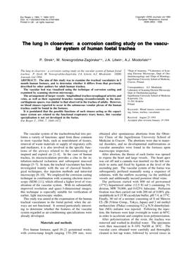 The Lung in Closeview: a Corrosion Casting Study on the Vascu- Lar System of Human Foetal Trachea