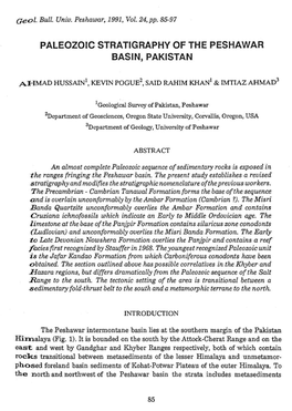 Paleozoic Stratigraphy of the Peshawar Basin, Pakistan