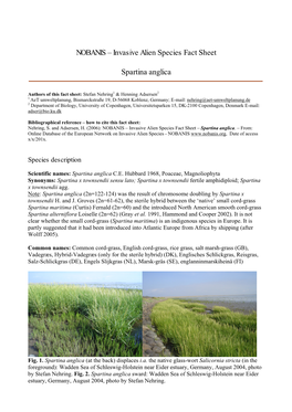 Invasive Alien Species Fact Sheet Spartina Anglica