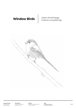 Window Birds, Cutwork, Paris 2020, ENG Hq