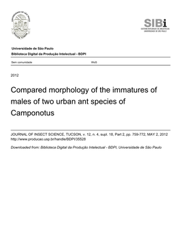 Compared Morphology of the Immatures of Males of Two Urban Ant Species of Camponotus