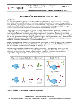 Lanthascreen Eu Kinase Binding Assay for PRKCQ Overview