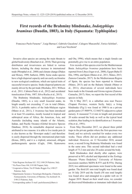 First Records of the Brahminy Blindsnake, Indotyphlops Braminus (Daudin, 1803), in Italy (Squamata: Typhlopidae)