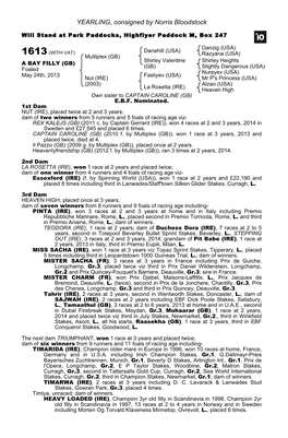 Tattersalls October Yearling Sale Book 1