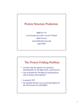 Protein Structure Prediction the Protein Folding Problem