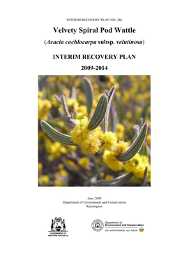 Interim Recovery Plan No