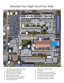 Mountain View High School Tree Walk