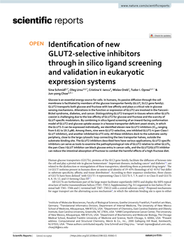 Identification of New GLUT2-Selective Inhibitors Through in Silico Ligand