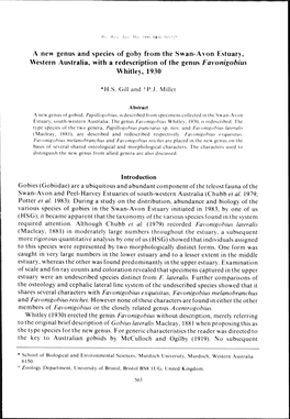 A New Genus and Species of Goby from the Swan-Avon Estuary, Western Australia, with a Redescription of the Genus Favonigobius Whitley, 1930