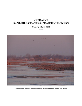 Nebraska Sandhill Cranes & Prairie Chickens