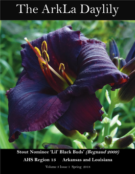 The Arkla Daylily