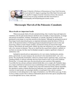 Conodonts and Other Microfossils in Biostratigraphy and Interpreting Past Oceanic Events