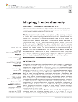 Mitophagy in Antiviral Immunity