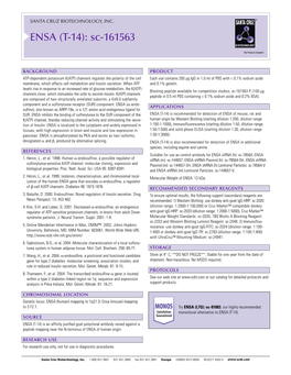 Datasheet Blank Template