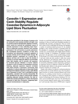 Caveolin-1 Expression and Cavin Stability Regulate Caveolae Dynamics in Adipocyte Lipid Store Fluctuation