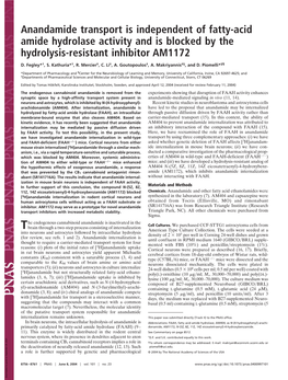 Anandamide Transport Is Independent of Fatty-Acid Amide Hydrolase Activity and Is Blocked by the Hydrolysis-Resistant Inhibitor AM1172