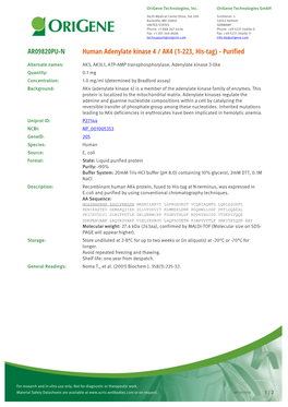 Human Adenylate Kinase 4 / AK4 (1-223, His-Tag) - Purified