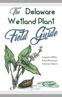 The Delaware Wetland Plant Field Guide