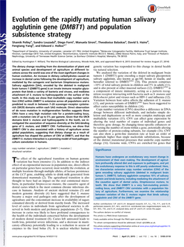 Evolution of the Rapidly Mutating Human Salivary Agglutinin Gene (DMBT1) and Population Subsistence Strategy