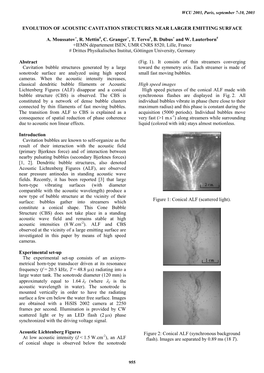 Evolution of Acoustic Cavitation Structures Near Larger Emitting Surface