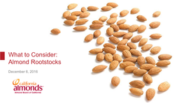 Almond Rootstocks