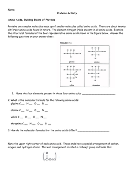 Name: Proteins Activity Amino Acids, Building Blocks of Proteins Proteins