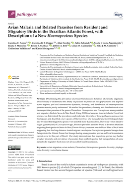 Avian Malaria and Related Parasites from Resident and Migratory Birds in the Brazilian Atlantic Forest, with Description of a New Haemoproteus Species