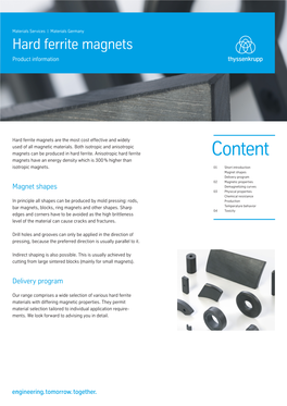 Hard Ferrite Magnets Product Information