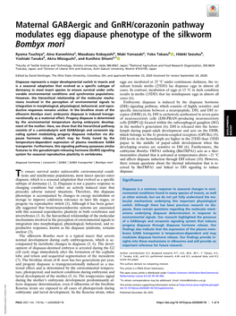 Maternal Gabaergic and Gnrh/Corazonin Pathway Modulates Egg Diapause Phenotype of the Silkworm Bombyx Mori