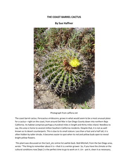 THE COAST BARREL CACTUS by Sue Haffner