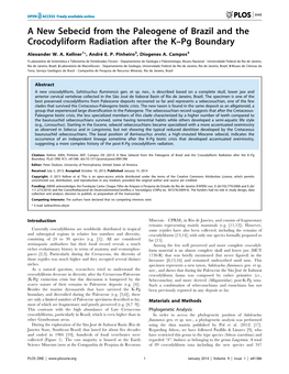 A New Sebecid from the Paleogene of Brazil and the Crocodyliform Radiation After the K–Pg Boundary