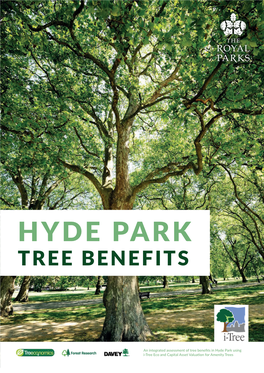 Hyde Park Tree Benefits