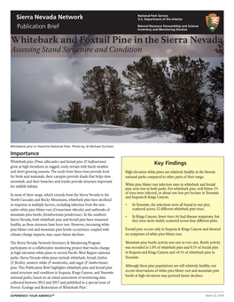 Whitebark and Foxtail Pine in the Sierra Nevada Assessing Stand Structure and Condition