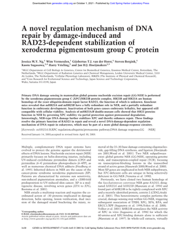 A Novel Regulation Mechanism of DNA Repair by Damage-Induced and RAD23-Dependent Stabilization of Xeroderma Pigmentosum Group C Protein