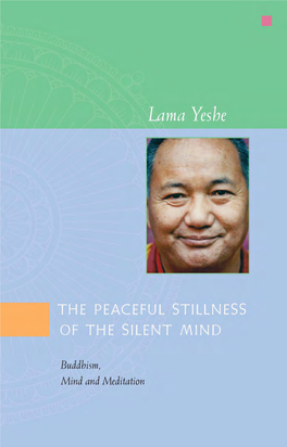 The Peaceful Stillness of the Silent Mind