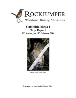 Rockjumper Birding Tours'