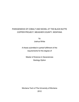 Paragenesis of Cobalt and Nickel at the Black Butte Copper Project, Meagher County, Montana